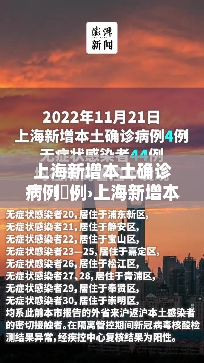 上海新增本土确诊病例無例›上海新增本土确诊病例無例