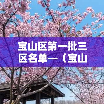 宝山区第一批三区名单—(宝山区一地三区) 宝山区第一批三区名单—(宝山区一地三区)