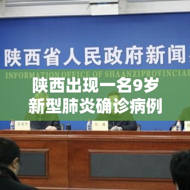 陕西出现一名9岁新型肺炎确诊病例›陕西肺炎疫情