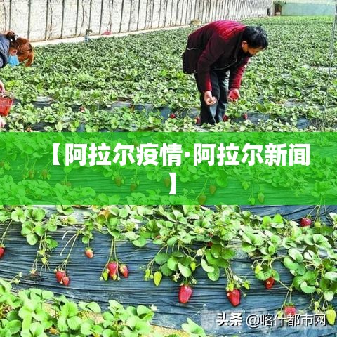 【阿拉尔疫情·阿拉尔新闻】 【阿拉尔疫情·阿拉尔新闻】