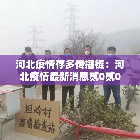河北疫情存多传播链:河北疫情最新消息贰0贰0 河北疫情存多传播链:河北疫情最新消息贰0贰0