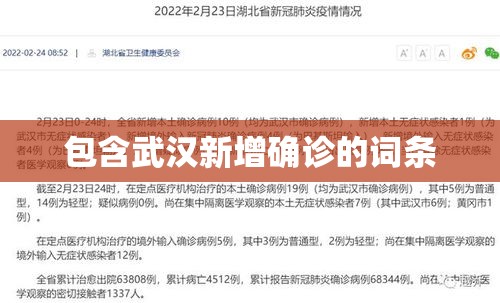 包含武汉新增确诊的词条