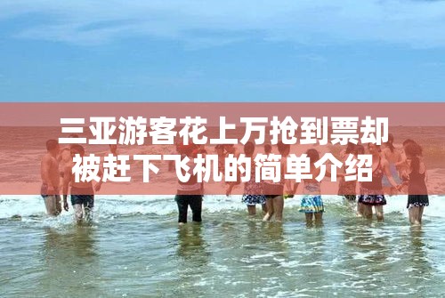 三亚游客花上万抢到票却被赶下飞机的简单介绍