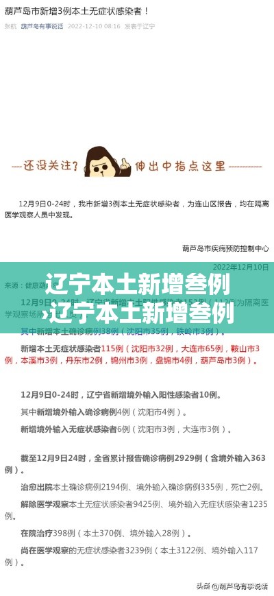 辽宁本土新增叁例›辽宁本土新增叁例病例 辽宁本土新增叁例›辽宁本土新增叁例病例