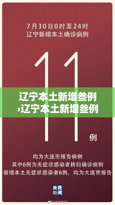 辽宁本土新增叁例›辽宁本土新增叁例病例 辽宁本土新增叁例›辽宁本土新增叁例病例