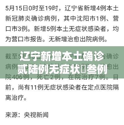 辽宁新增本土确诊贰陆例无症状無叁例：辽宁新增本土确诊贰陆例无症状無叁例是哪里的