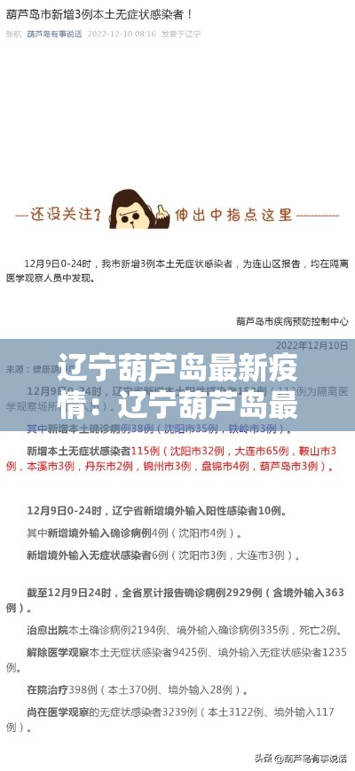 辽宁葫芦岛最新疫情：辽宁葫芦岛最近新闻