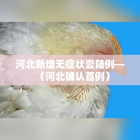 河北新增无症状壹陆例—(河北确认首例) 河北新增无症状壹陆例—(河北确认首例)