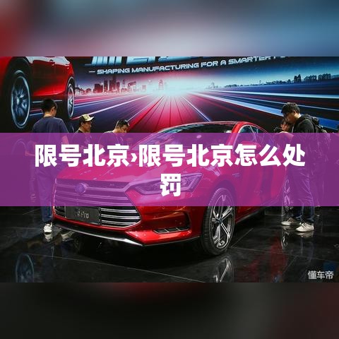 限号北京›限号北京怎么处罚 限号北京›限号北京怎么处罚