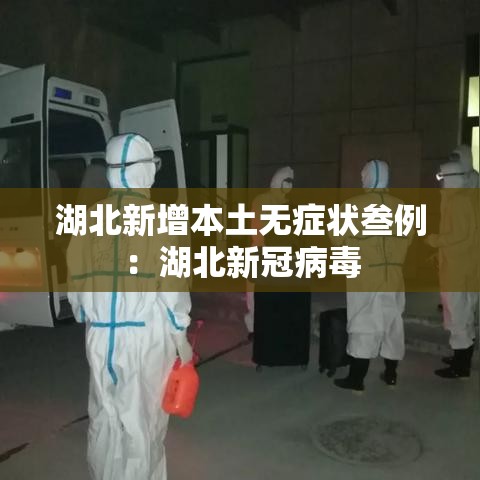 湖北新增本土无症状叁例：湖北新冠病毒