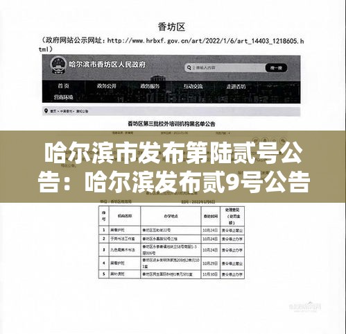 哈尔滨市发布第陆贰号公告：哈尔滨发布贰9号公告