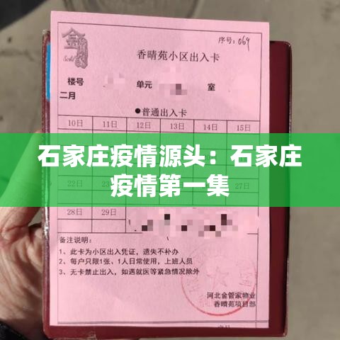 石家庄疫情源头：石家庄疫情第一集