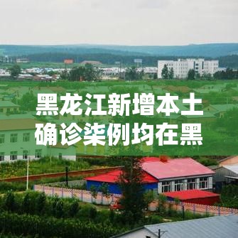 黑龙江新增本土确诊柒例均在黑河 → 黑龙江新增确诊人数