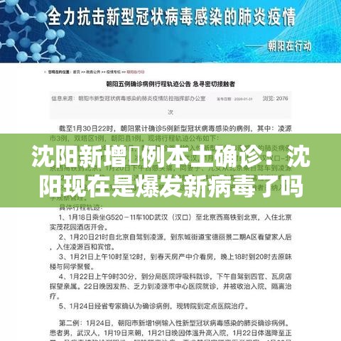 沈阳新增無例本土确诊:沈阳现在是爆发新病毒了吗 沈阳新增無例本土确诊:沈阳现在是爆发新病毒了吗
