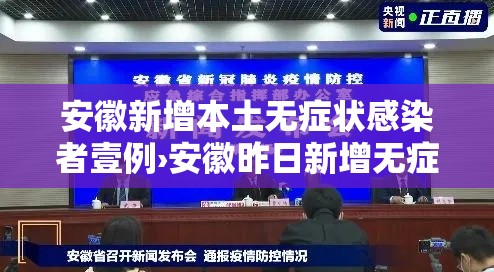 安徽新增本土无症状感染者壹例›安徽昨日新增无症状感染者壹9例 视频