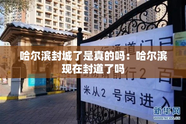 哈尔滨封城了是真的吗：哈尔滨现在封道了吗