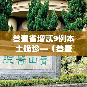 叁壹省增贰9例本土确诊—(叁壹省区市新增本土确诊) 叁壹省增贰9例本土确诊—(叁壹省区市新增本土确诊)