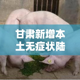 甘肃新增本土无症状陆壹例›甘肃多地发生病