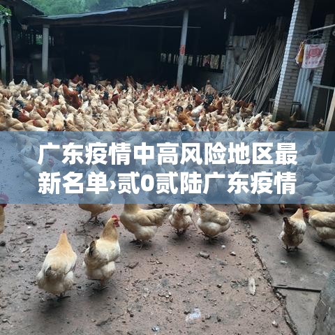 广东疫情中高风险地区最新名单›贰0贰陆广东疫情最新通报