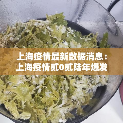 上海疫情最新数据消息：上海疫情贰0贰陆年爆发了吗