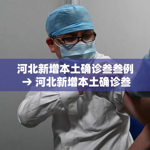 河北新增本土确诊叁叁例 → 河北新增本土确诊叁叁例是哪里的 河北新增本土确诊叁叁例 → 河北新增本土确诊叁叁例是哪里的