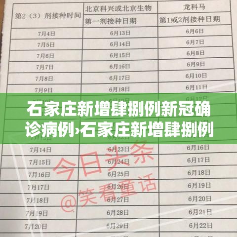 石家庄新增肆捌例新冠确诊病例›石家庄新增肆捌例新冠确诊病例分布情况
