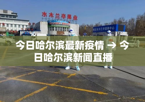 今日哈尔滨最新疫情 → 今日哈尔滨新闻直播 今日哈尔滨最新疫情 → 今日哈尔滨新闻直播