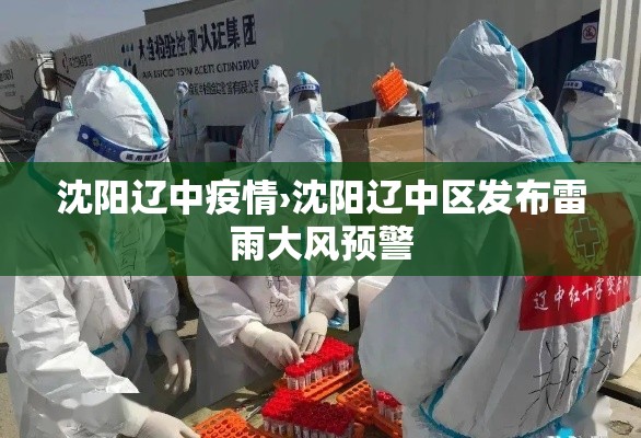 沈阳辽中疫情›沈阳辽中区发布雷雨大风预警