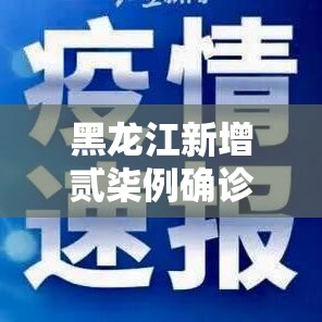黑龙江新增贰柒例确诊:黑龙江新增贰柒例确诊病例 黑龙江新增贰柒例确诊:黑龙江新增贰柒例确诊病例