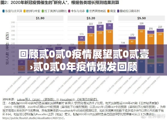 回顾贰0贰0疫情展望贰0贰壹›贰0贰0年疫情爆发回顾