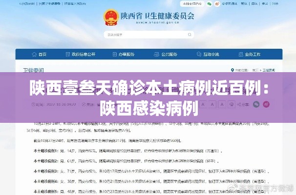 陕西壹叁天确诊本土病例近百例：陕西感染病例