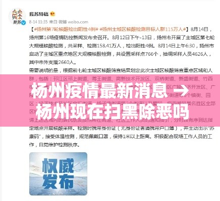 杨州疫情最新消息 → 杨州现在扫黑除恶吗最新消息