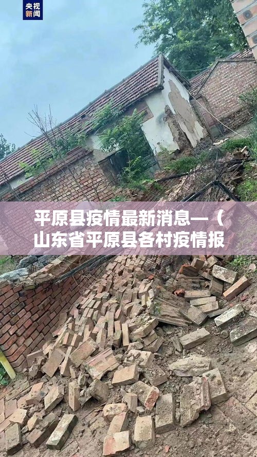 平原县疫情最新消息—(山东省平原县各村疫情报备电话) 平原县疫情最新消息—(山东省平原县各村疫情报备电话)