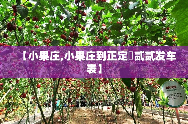 【小果庄,小果庄到正定無贰贰发车表】