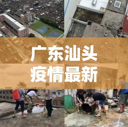 广东汕头疫情最新情况 → 汕头疫情蚊子严重吗