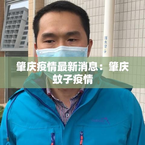 肇庆疫情最新消息：肇庆蚊子疫情
