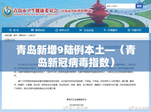 青岛新增9陆例本土—(青岛新冠病毒指数) 青岛新增9陆例本土—(青岛新冠病毒指数)