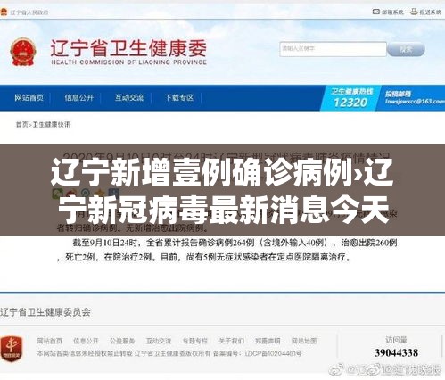 辽宁新增壹例确诊病例›辽宁新冠病毒最新消息今天
