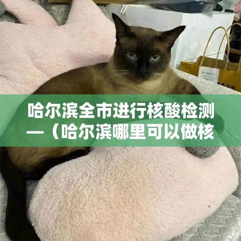 哈尔滨全市进行核酸检测—(哈尔滨哪里可以做核酸检测) 哈尔滨全市进行核酸检测—(哈尔滨哪里可以做核酸检测)