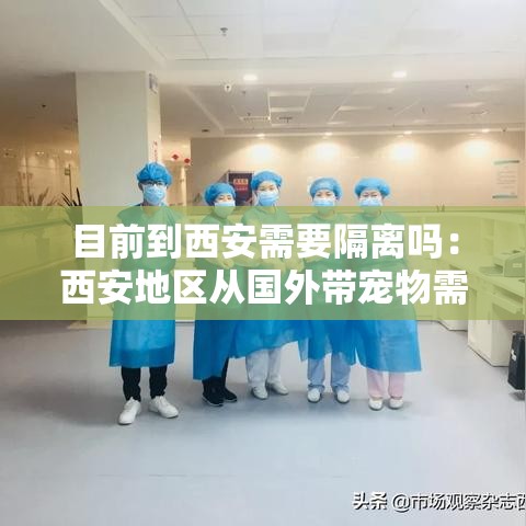 目前到西安需要隔离吗：西安地区从国外带宠物需要隔离嘛