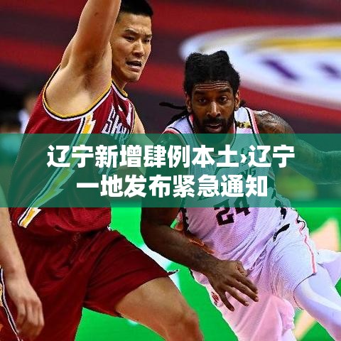 辽宁新增肆例本土›辽宁一地发布紧急通知