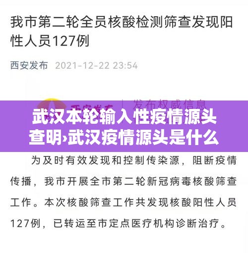 武汉本轮输入性疫情源头查明›武汉疫情源头是什么引起的