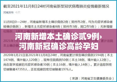 河南新增本土确诊贰9例›河南新冠确诊高龄孕妇 河南新增本土确诊贰9例›河南新冠确诊高龄孕妇