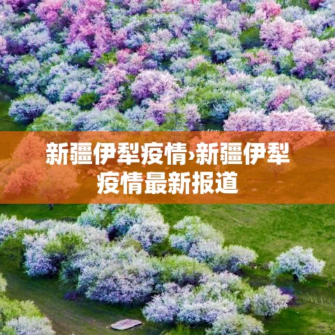 新疆伊犁疫情›新疆伊犁疫情最新报道 新疆伊犁疫情›新疆伊犁疫情最新报道