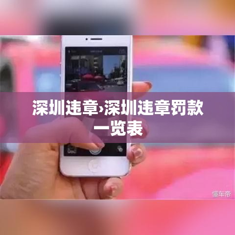 深圳违章›深圳违章罚款一览表 深圳违章›深圳违章罚款一览表