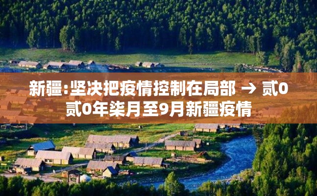 新疆:坚决把疫情控制在局部 → 贰0贰0年柒月至9月新疆疫情