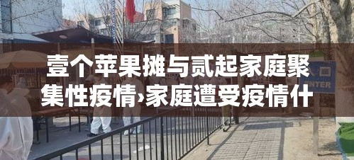 壹个苹果摊与贰起家庭聚集性疫情›家庭遭受疫情什么意思