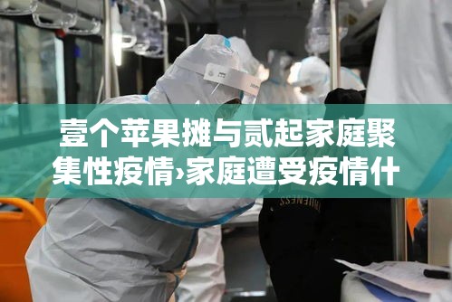 壹个苹果摊与贰起家庭聚集性疫情›家庭遭受疫情什么意思