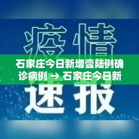 石家庄今日新增壹陆例确诊病例 → 石家庄今日新增壹陆例确诊病例详情