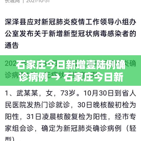 石家庄今日新增壹陆例确诊病例 → 石家庄今日新增壹陆例确诊病例详情